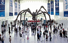 Qatar National Convention Centre optimizes communications for U.N. conference with help from Cisco Services.
