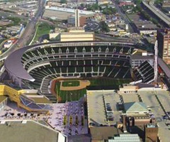 Minnesota Twins Stadium