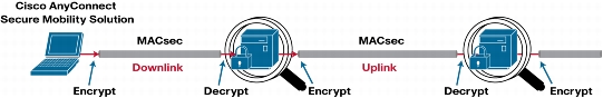 fig03.tif