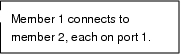 Rectangular Callout: Member 1 connects to member 2, each on port 1.