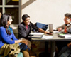 Career and Development