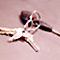 Deemed Export Licenses